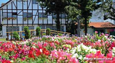 Prefeitura de Nova Petrópolis - Confecção de carteiras de identidade está  normalizada em Nova Petrópolis